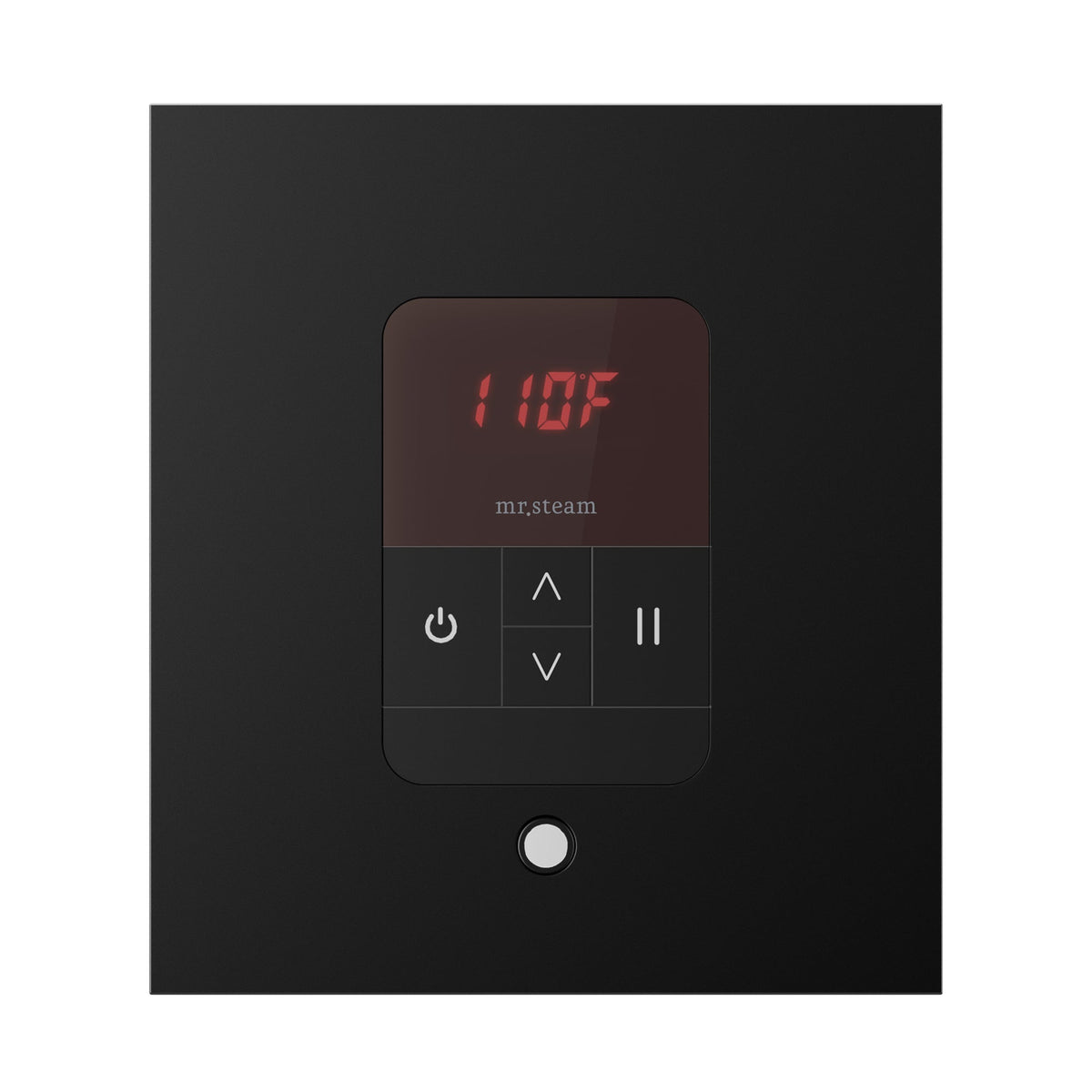 Mr. Steam iTempo Steam Shower Control and Steamhead