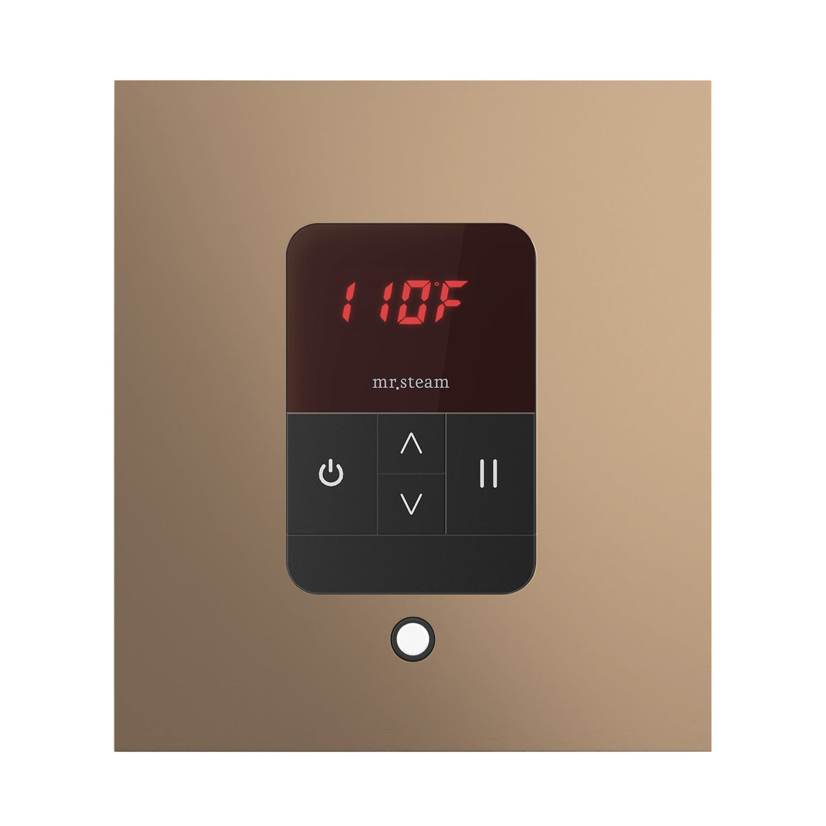 Mr. Steam iTempo Steam Shower Control and Steamhead