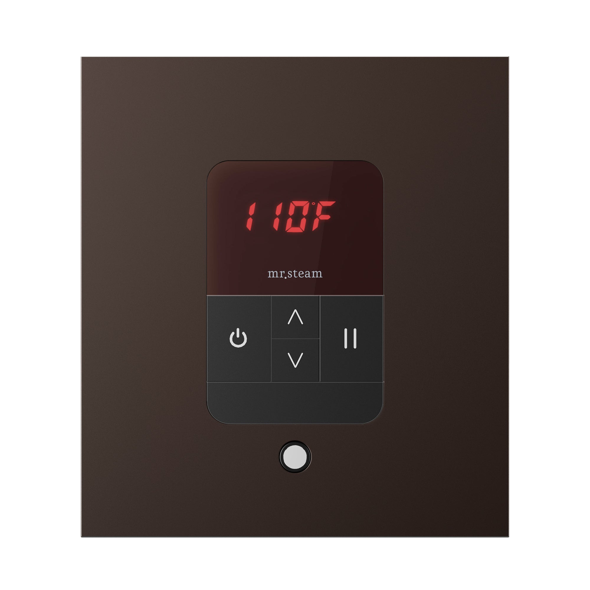 Mr. Steam iTempo Steam Shower Control and Steamhead