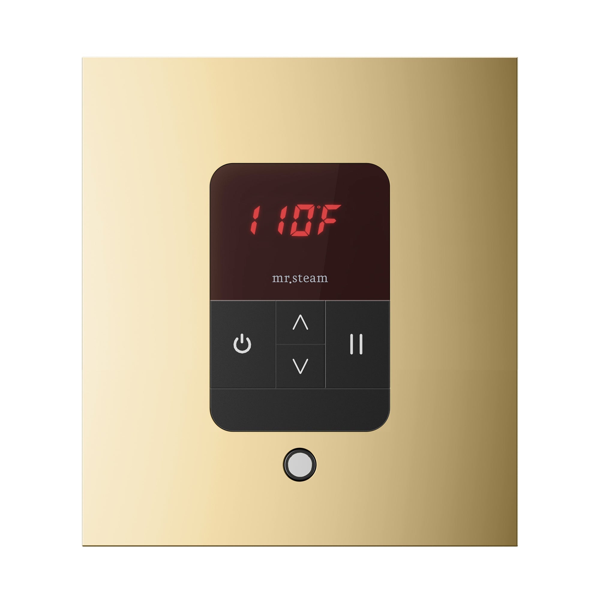 Mr. Steam iTempo Steam Shower Control and Steamhead