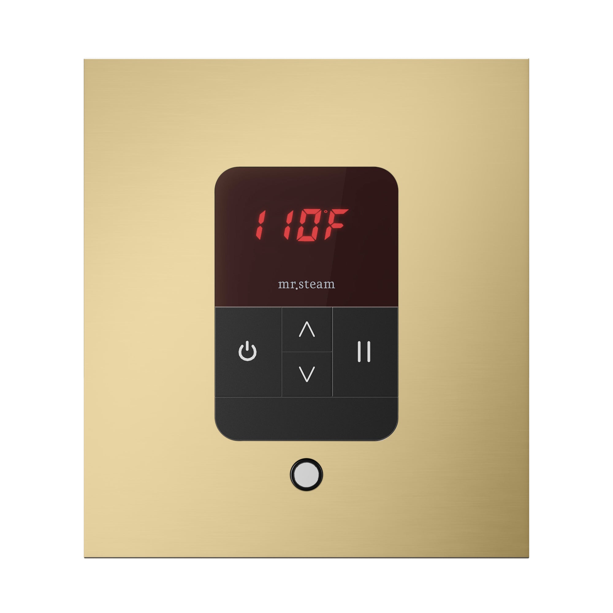 Mr. Steam iTempo Steam Shower Control and Steamhead