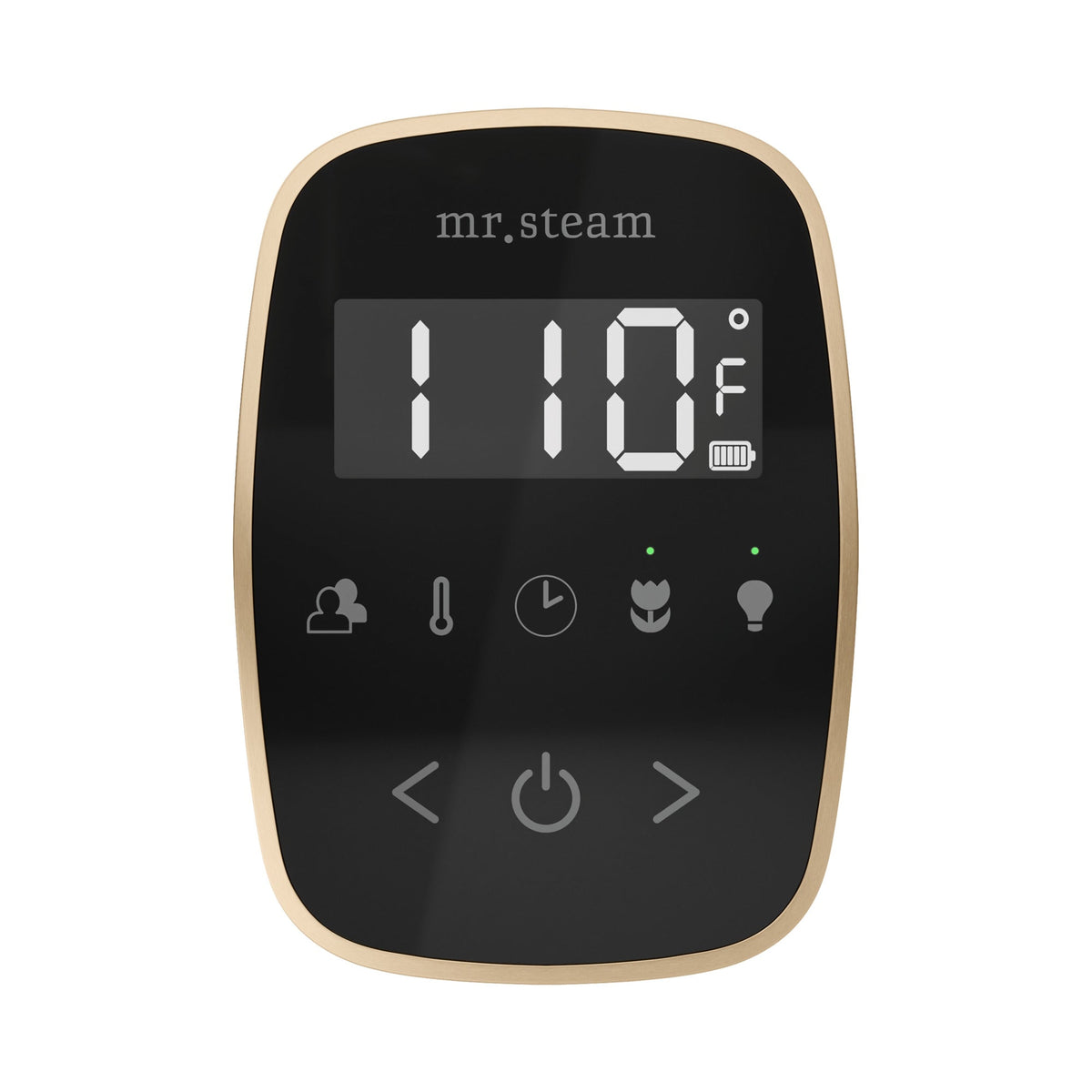Mr. Steam TempoFlex Steam Shower Control and Steamhead