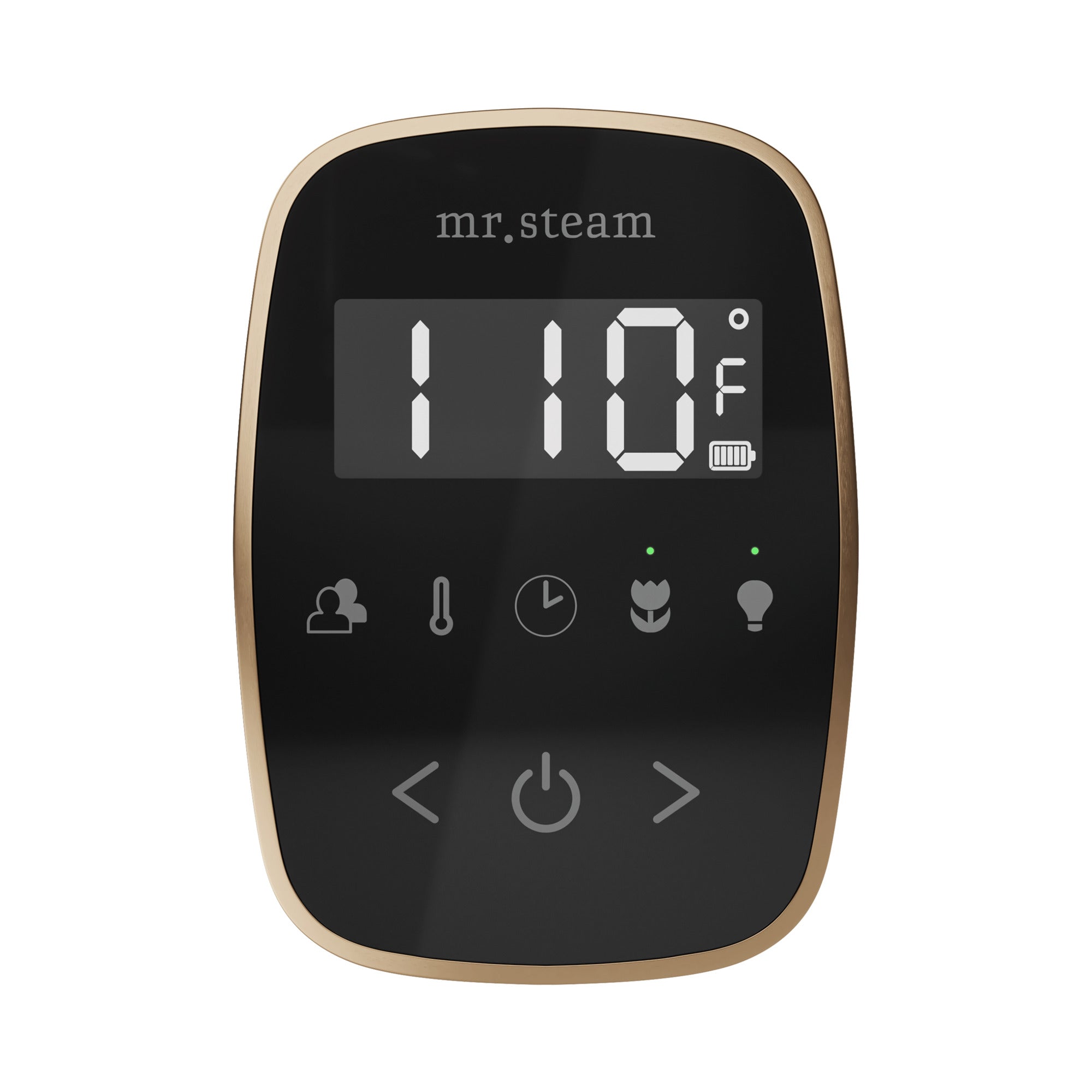 Mr. Steam TempoFlex Steam Shower Control and Steamhead