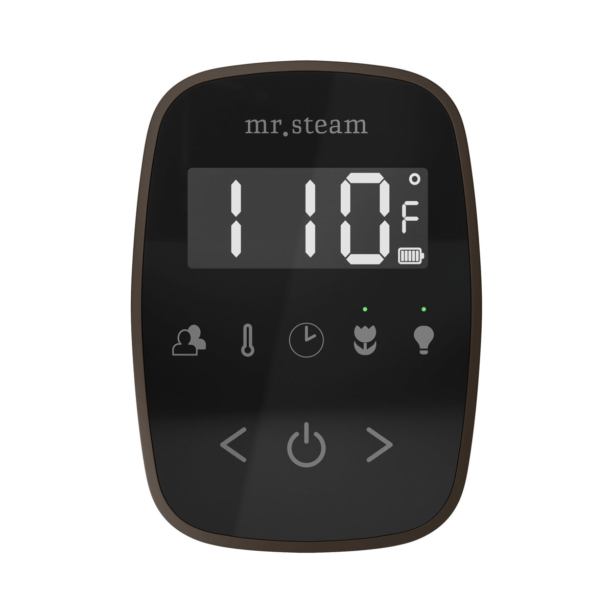Mr. Steam TempoFlex Steam Shower Control and Steamhead