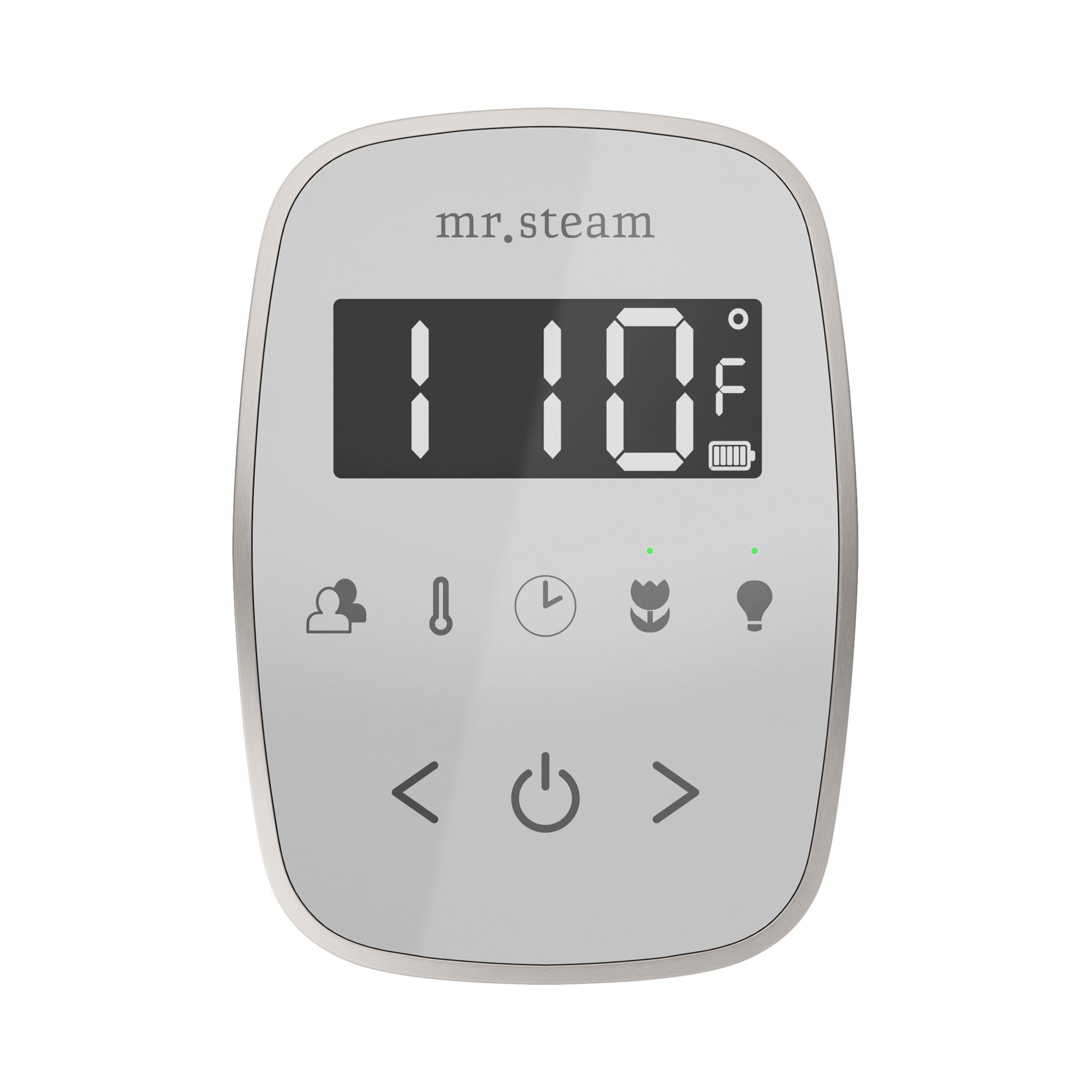 Mr. Steam TempoFlex Steam Shower Control and Steamhead