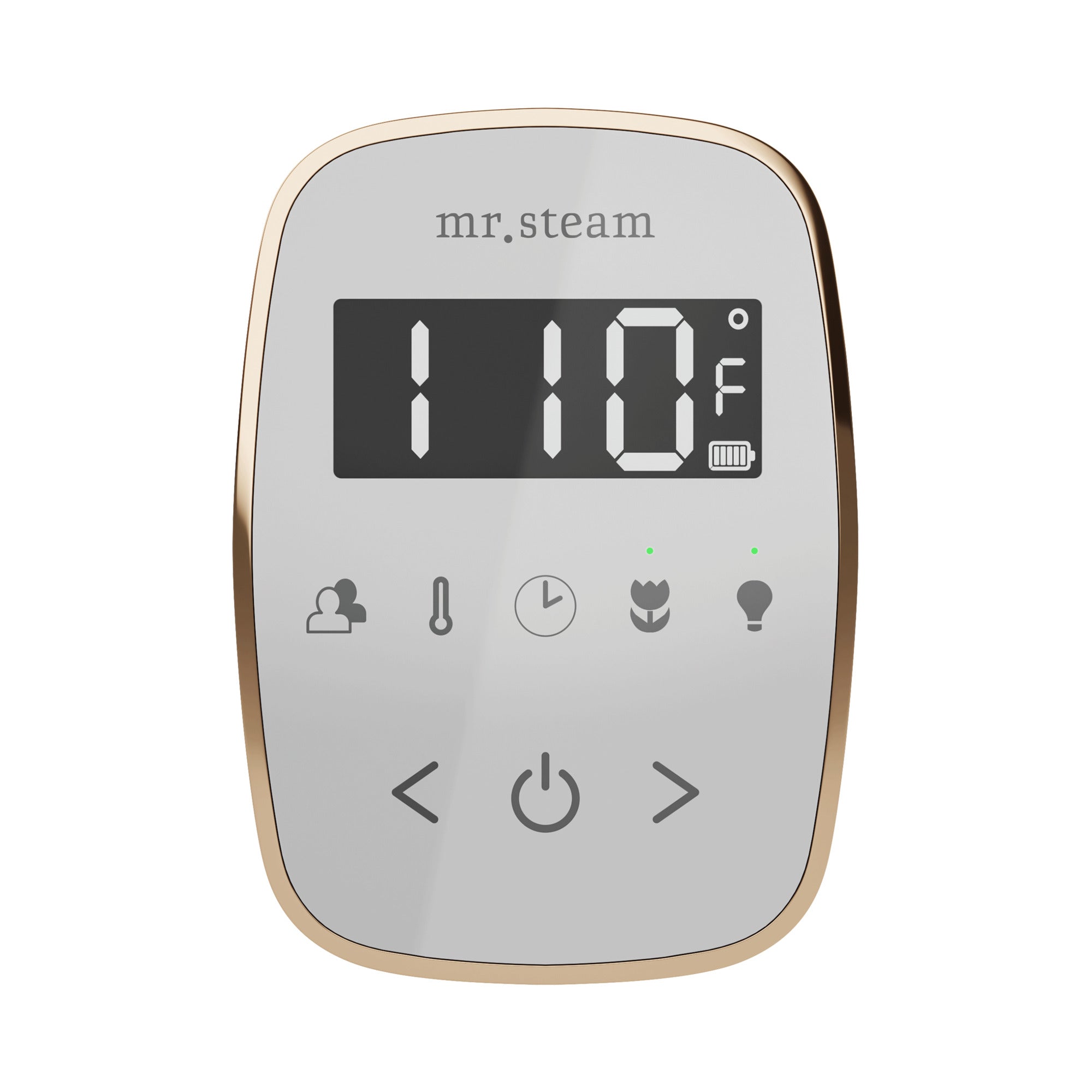 Mr. Steam TempoFlex Steam Shower Control and Steamhead