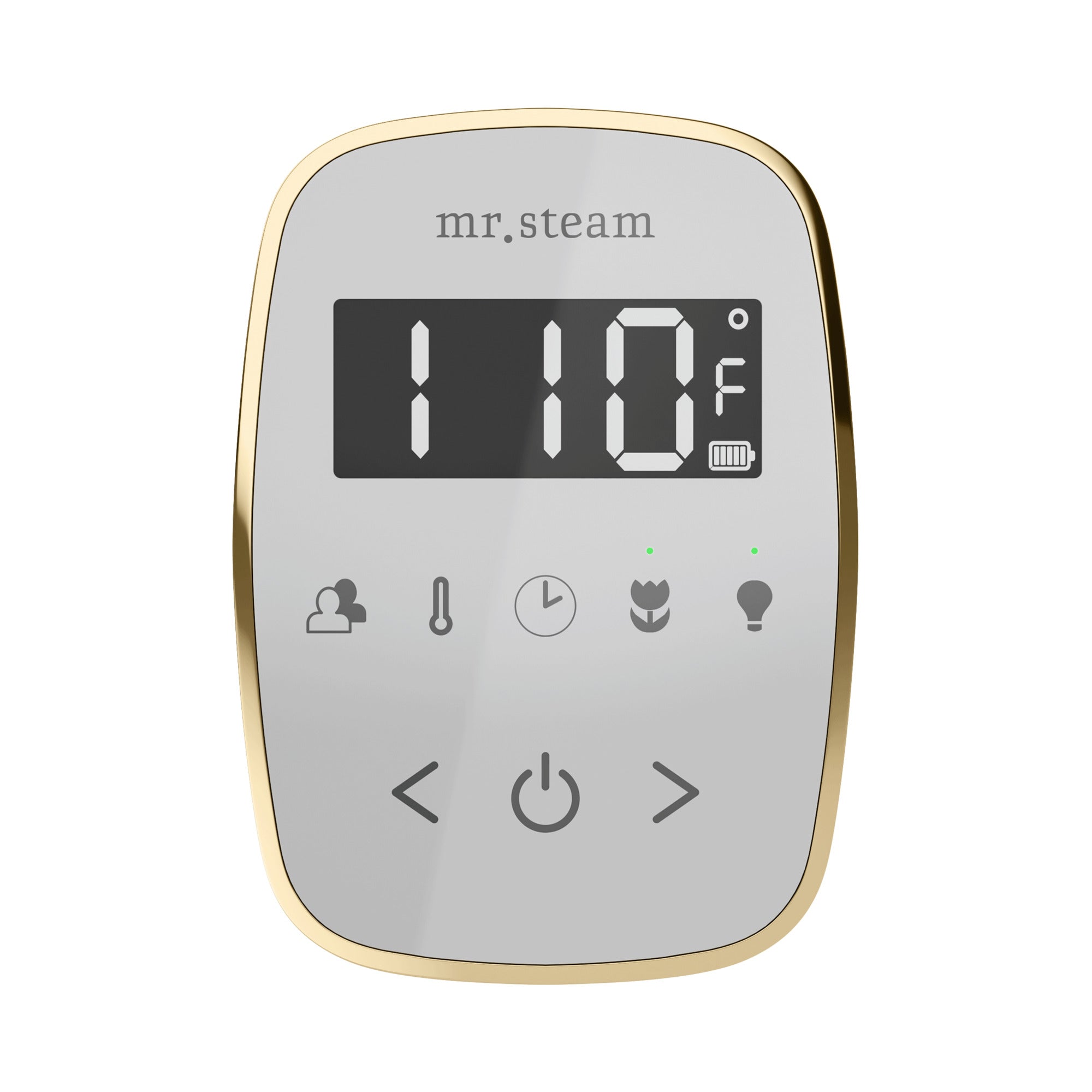 Mr. Steam TempoFlex Steam Shower Control and Steamhead