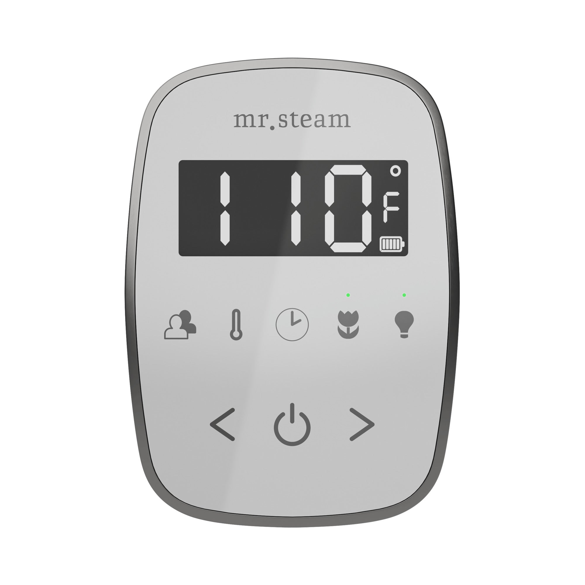Mr. Steam TempoFlex Steam Shower Control and Steamhead