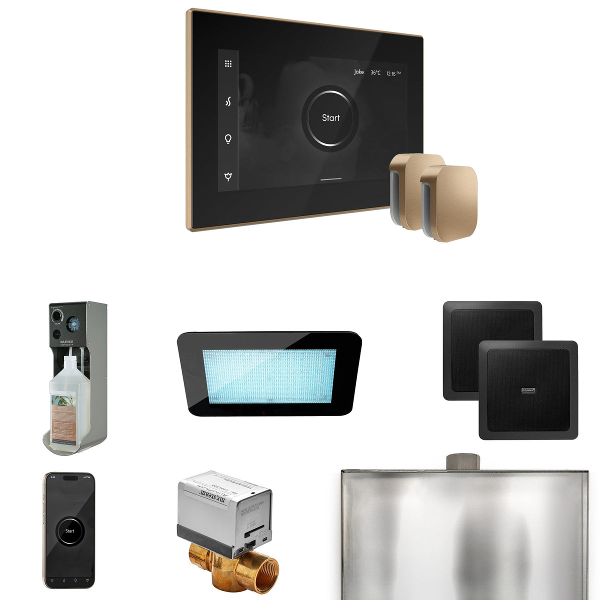 Mr. Steam XDream Max Steam Shower Control Package with iSteamX Control and Steamhead