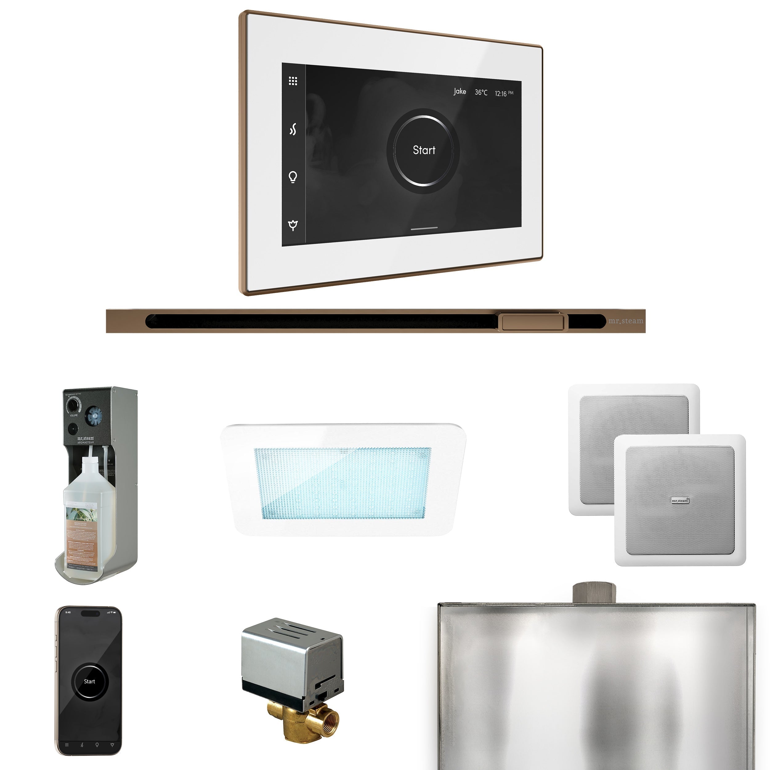 Mr. Steam XDream Steam Shower Control Package with iSteamX Control and Linear Steamhead