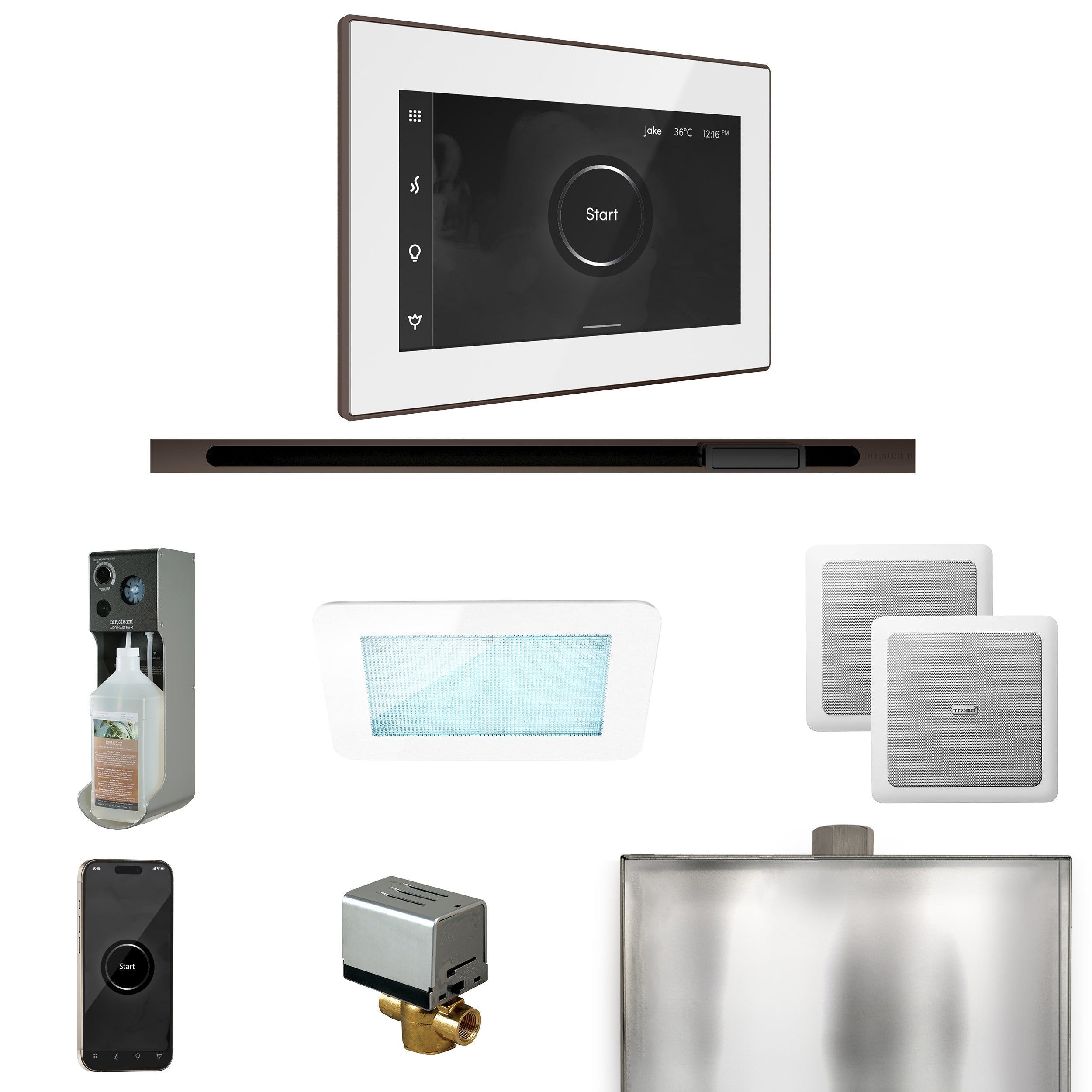 Mr. Steam XDream Steam Shower Control Package with iSteamX Control and Linear Steamhead