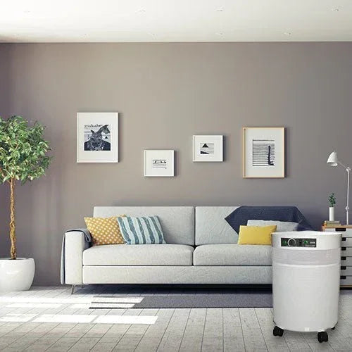 Airpura V-Series Air Purifiers for Asbestos, Ammonia, Nitrogen Oxide and More - V600 and V700