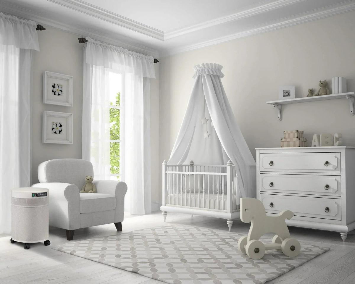T600 DLX - Heavy Tobacco Smoke Air Purifier