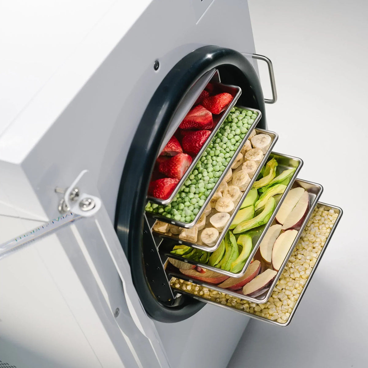 Harvest Right Home Pro Freeze Dryer