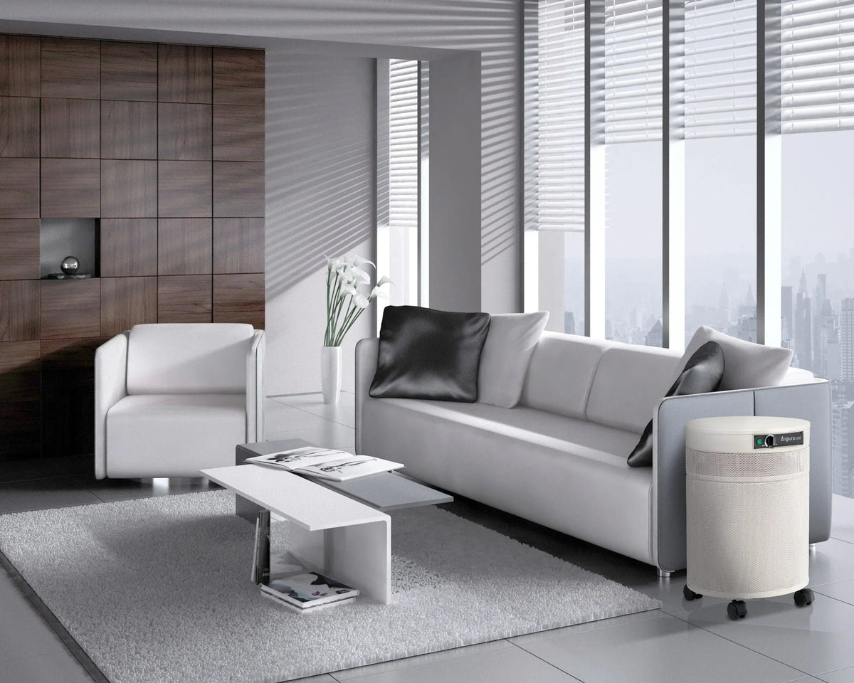 T600 DLX - Heavy Tobacco Smoke Air Purifier